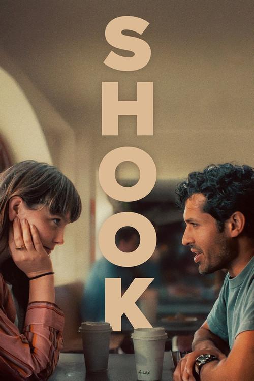 Shook 2025 official movie poster