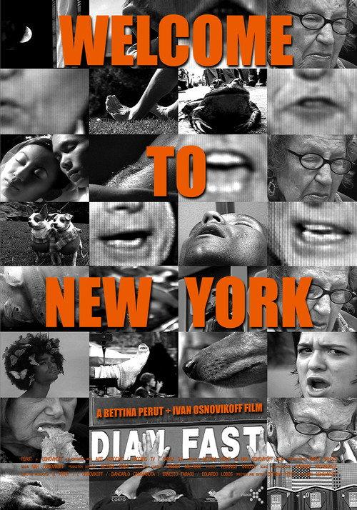 Welcome to New York 2006 official movie poster