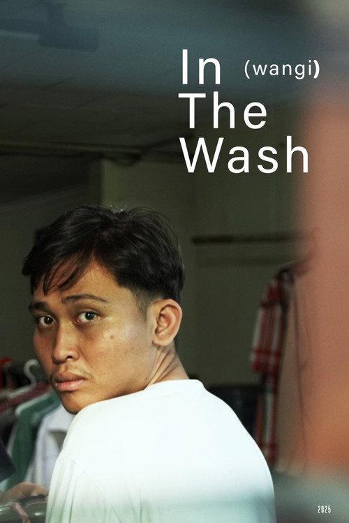 In The Wash  official movie poster