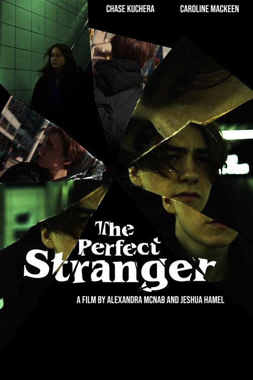 The Perfect Stranger 2023 official movie poster