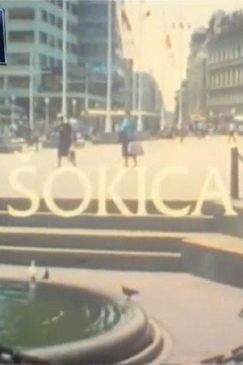 A Shokac Woman 1996 official movie poster