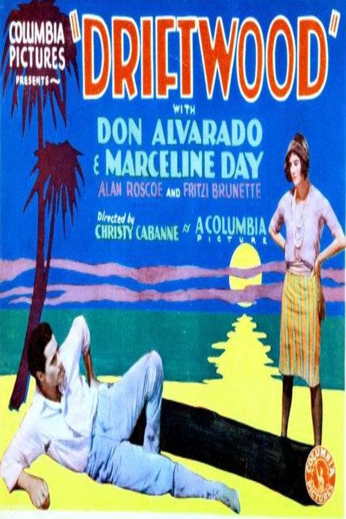 Driftwood 1928 official movie poster