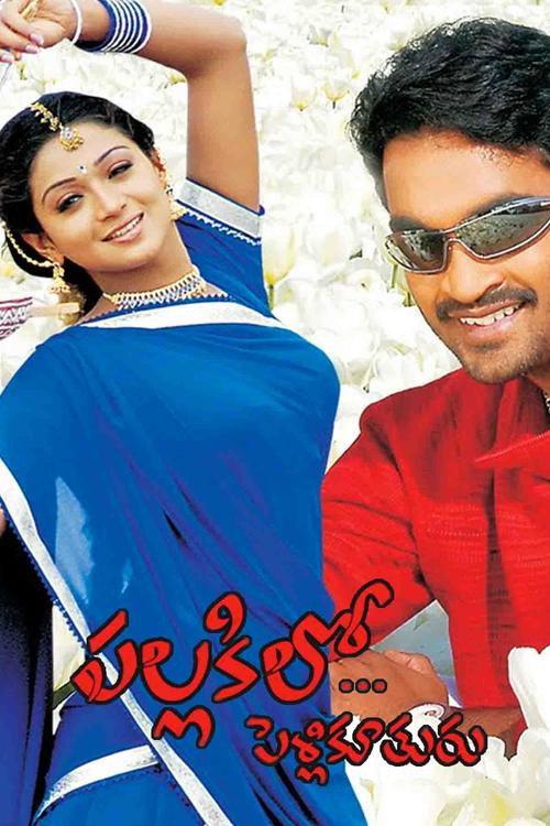 Pallakilo Pellikuthuru 2004 official movie poster
