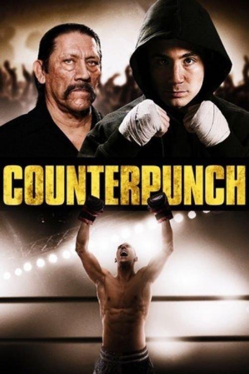 Counterpunch 2013 official movie poster