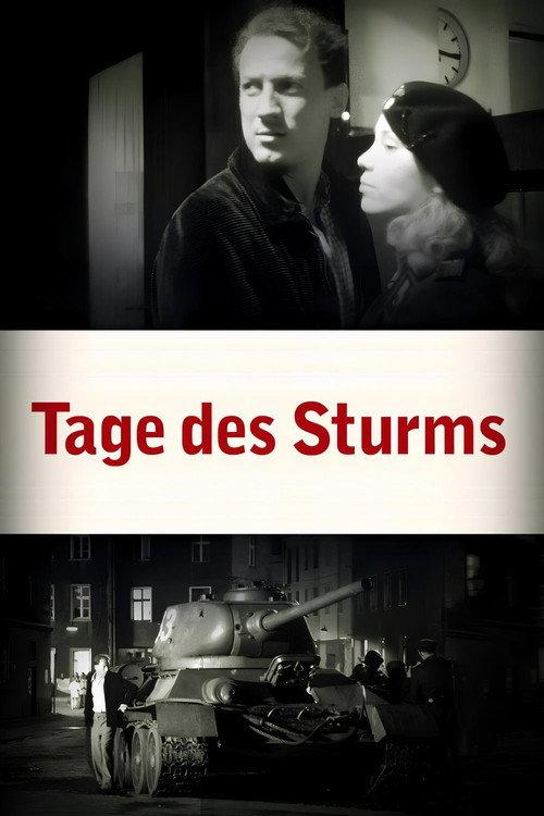 Tage des Sturms 2003 official movie poster
