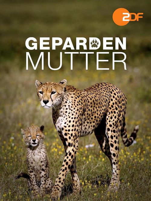 Gepardenmutter 2012 official movie poster
