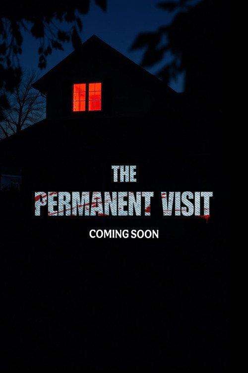 The permanent Visit  official movie poster