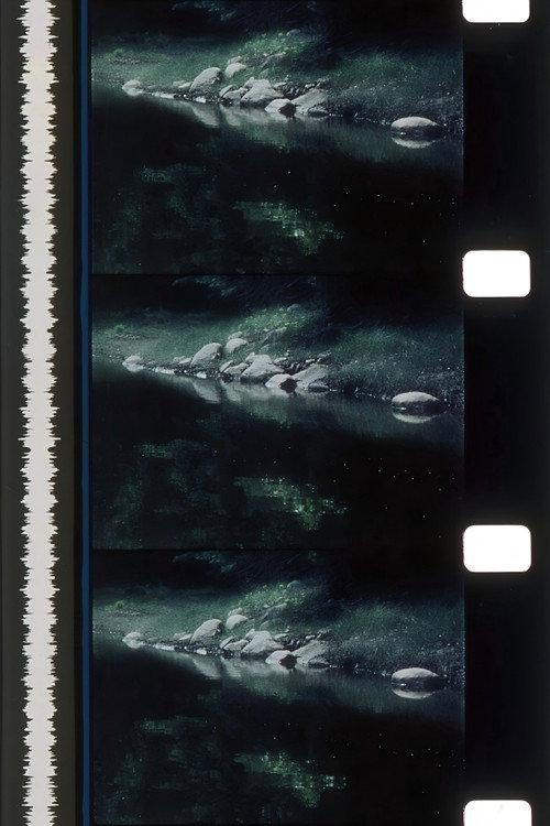 Rivers of Darkness / Rivers of Light 1972 official movie poster