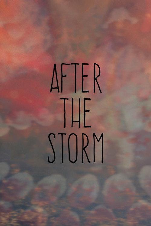 After the Storm 2017 official movie poster