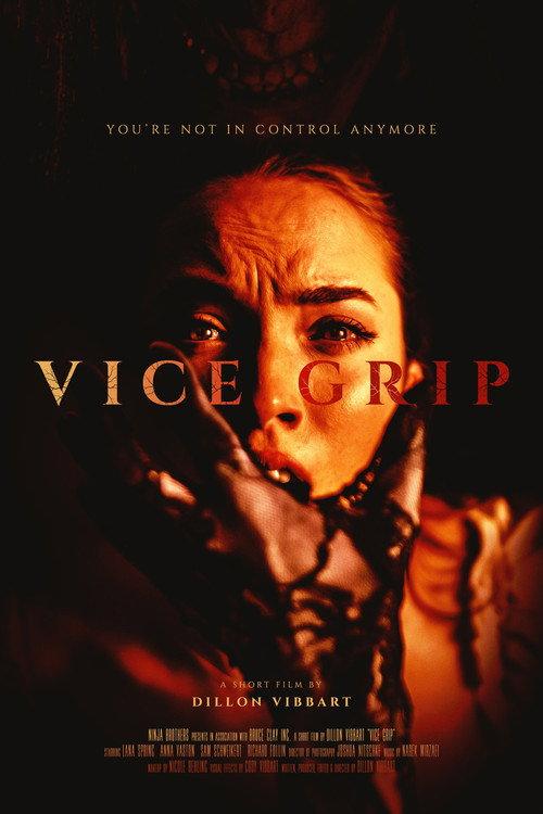 Vice Grip 2024 official movie poster