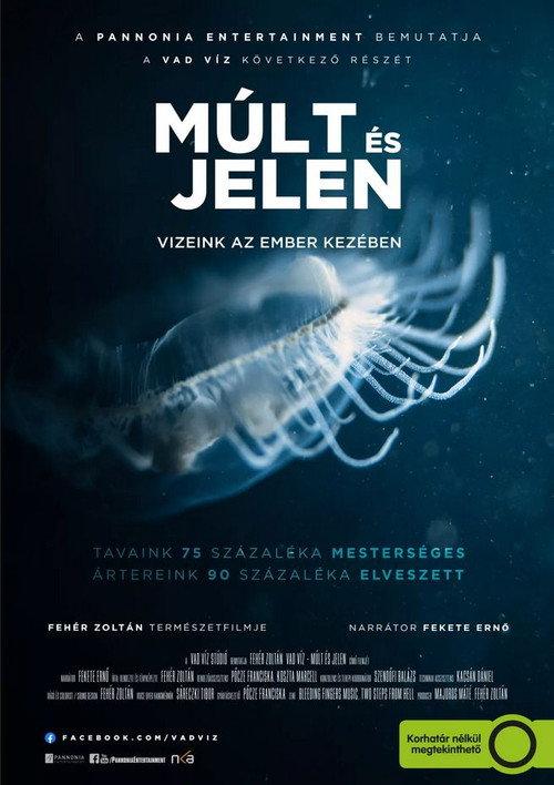 Land of Waters: Created by Man, Overtaken by Nature 2022 official movie poster