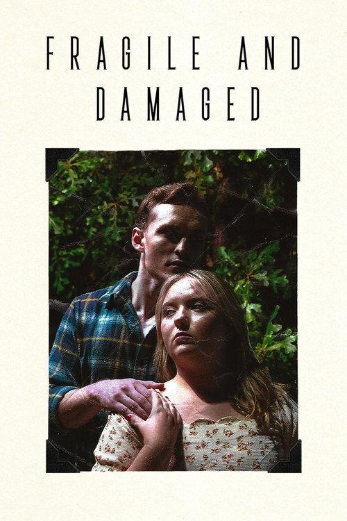 Fragile and Damaged 2023 official movie poster