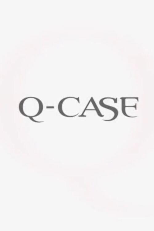 Q-Case 2008 official movie poster