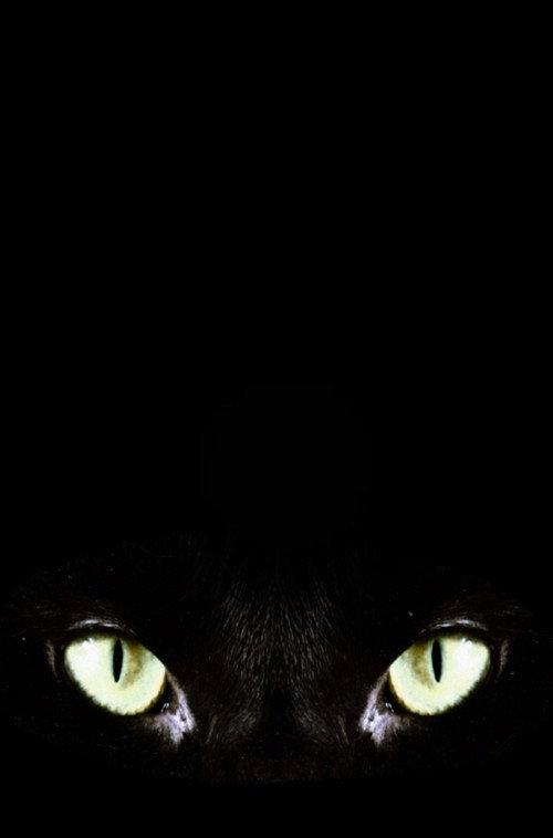 Halloween Claws 2026 official movie poster
