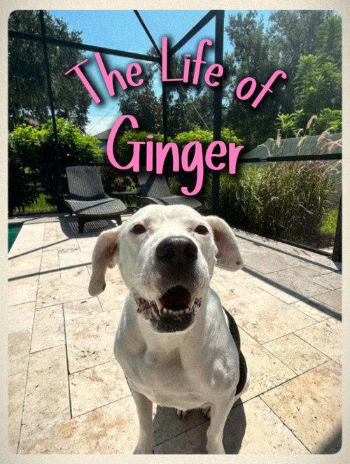 The Life of Ginger 2025 official movie poster