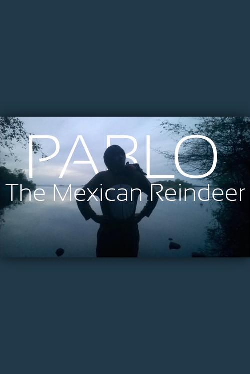 Pablo The Mexican Reindeer 2014 official movie poster
