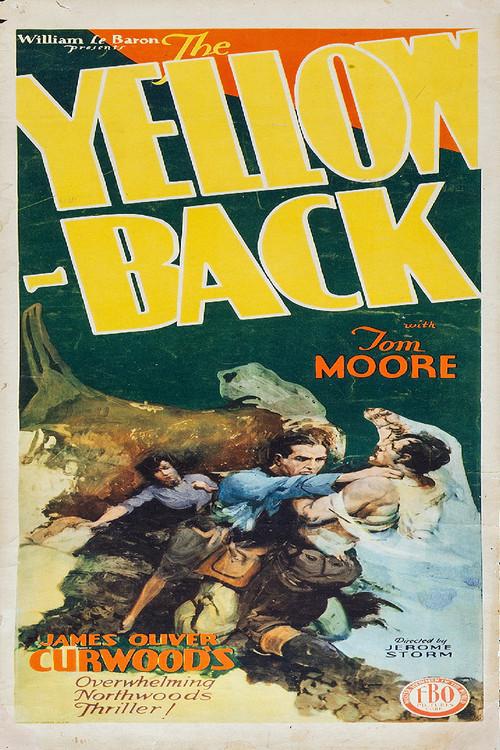 The Yellowback 1929 official movie poster