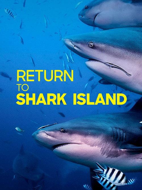Return to Shark Island 2019 official movie poster