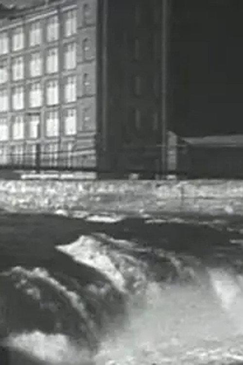 Narva kosk kevadel 1939 official movie poster