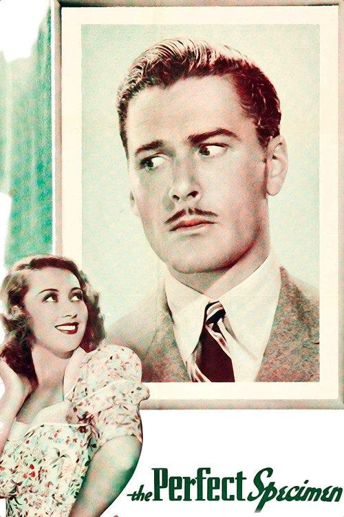 The Perfect Specimen 1937 official movie poster