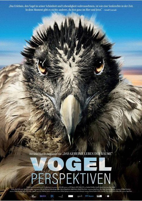 Bird's Eyeview 2022 official movie poster