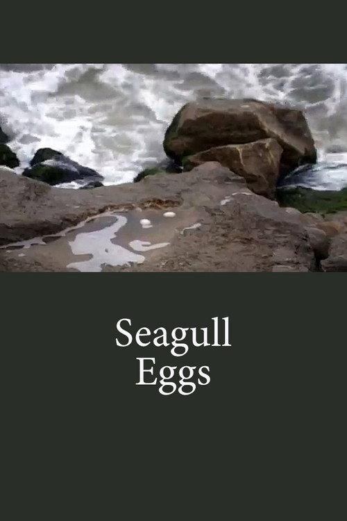 Seagull Eggs 2008 official movie poster