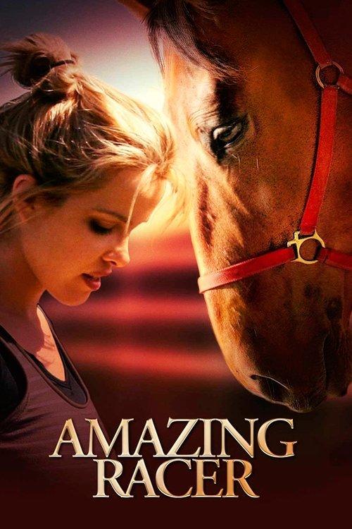 Amazing Racer 2009 official movie poster