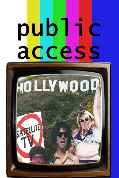 Public Access Hollywood 2004 official movie poster