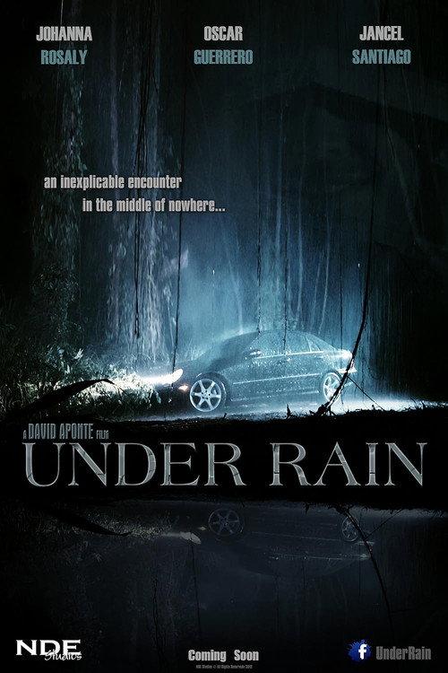 Under Rain 2012 official movie poster