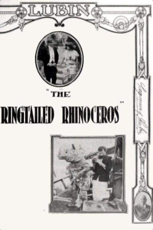 The Ringtailed Rhinoceros 1915 official movie poster