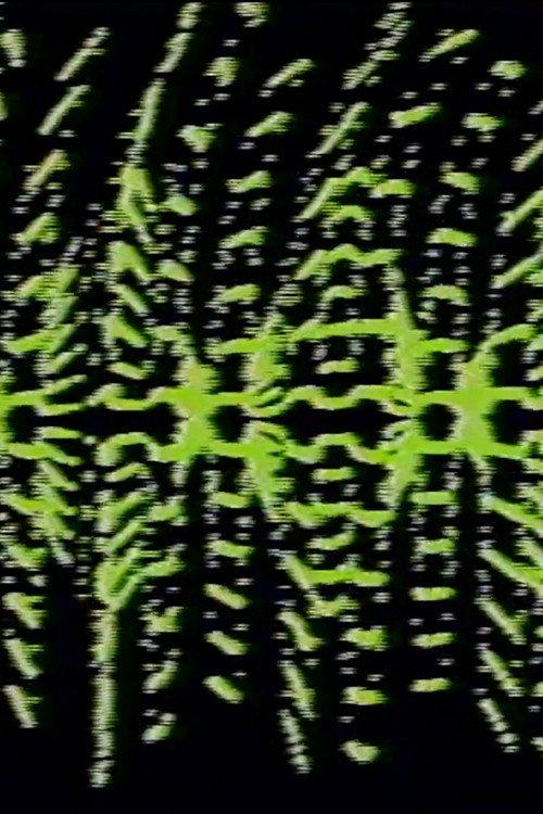 Modulated Horizontal Lines 1976 official movie poster