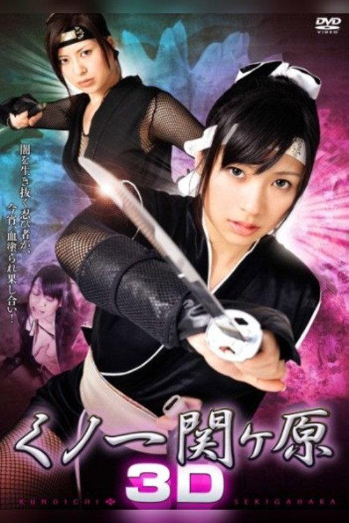 Kunoichi Sekigahara 3D 2010 official movie poster
