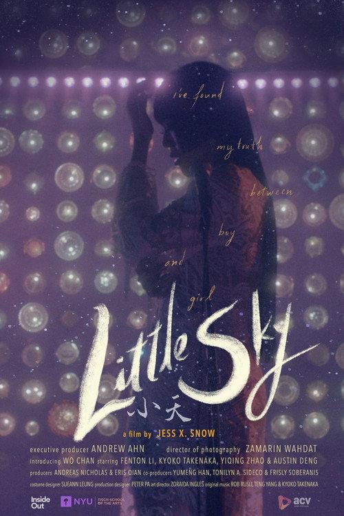 Little Sky 2021 official movie poster