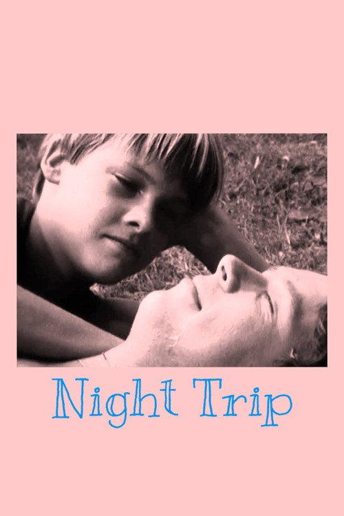 Night Trip 1982 official movie poster