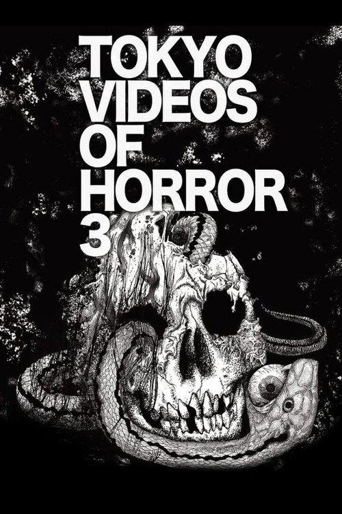 Tokyo Videos of Horror 3 2012 official movie poster