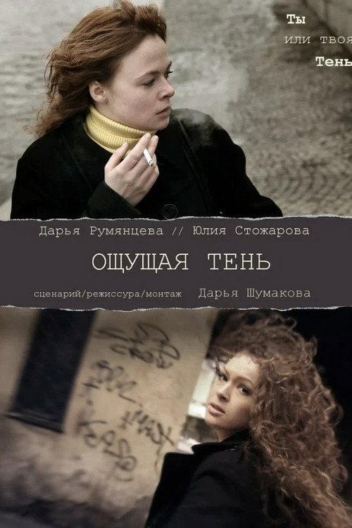 Feeling the Shadow 2011 official movie poster