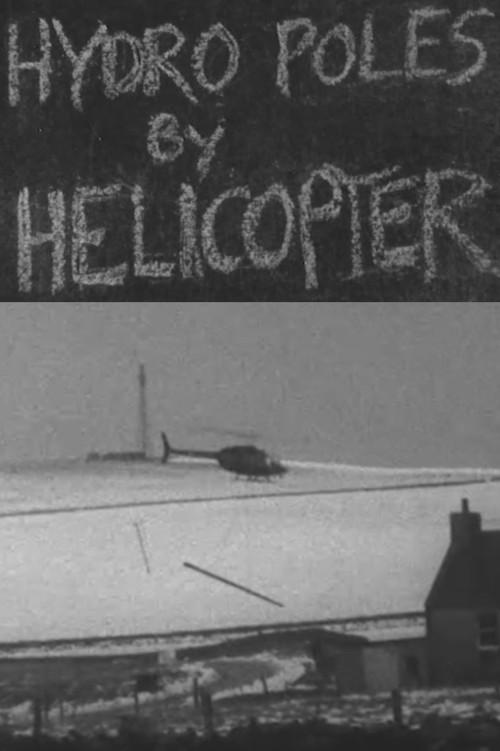 Hydro Poles by Helicopter 1978 official movie poster
