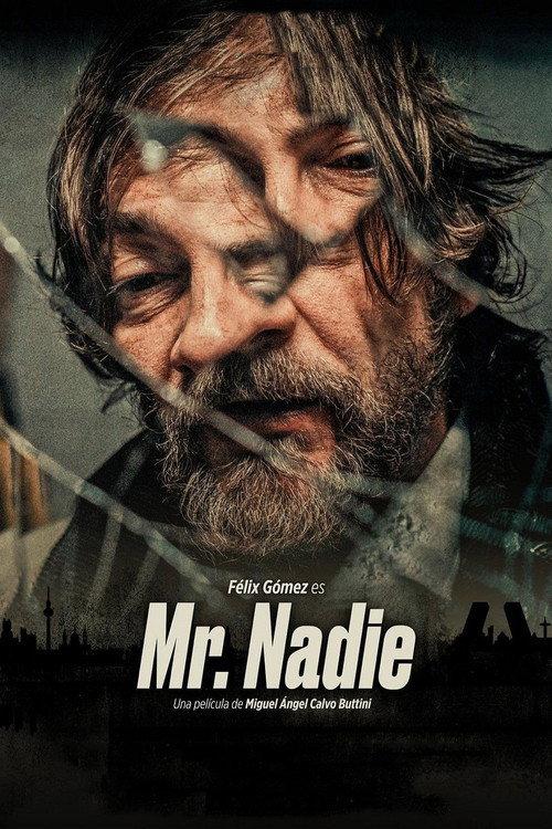 Mr. No One 2025 official movie poster