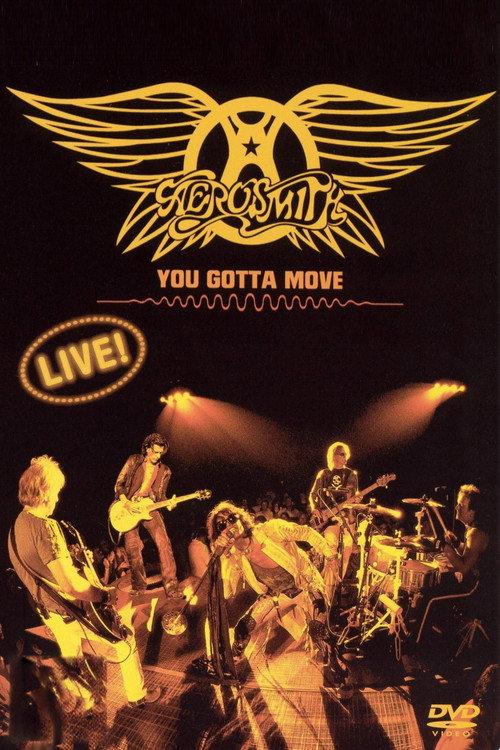 Aerosmith - You Gotta Move 2004 official movie poster