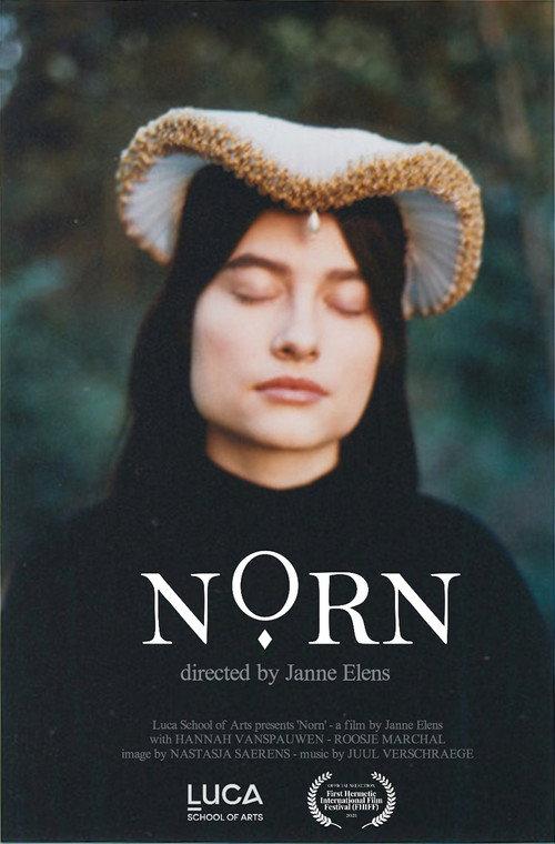 Norn 2018 official movie poster