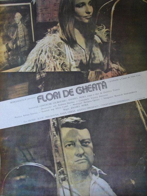Flori de gheață 1989 official movie poster