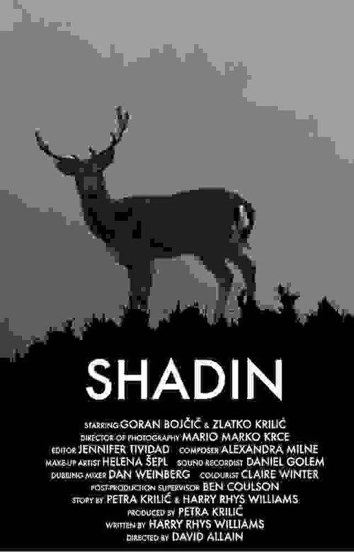 Shadin 2018 official movie poster
