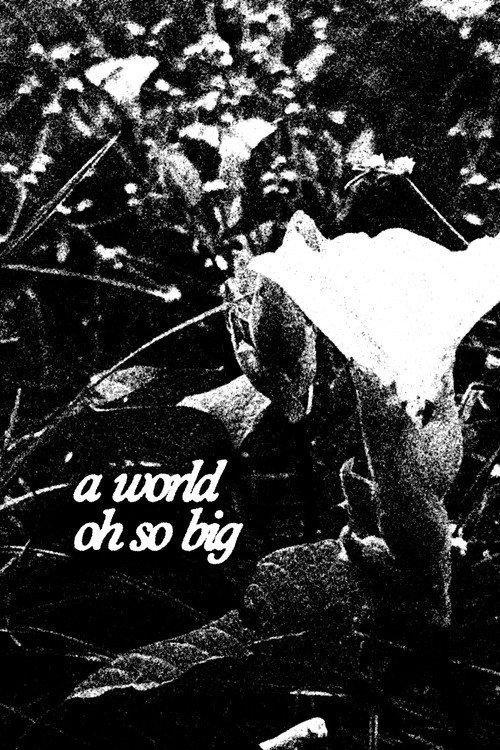 A World Oh So Big 2025 official movie poster