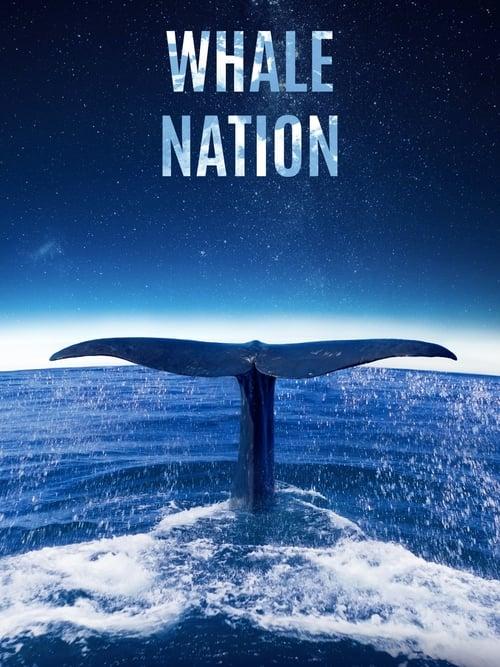 Whale Nation 2023 official movie poster