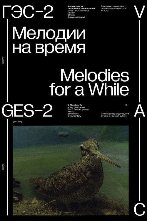Melodies for a While 2026 official movie poster