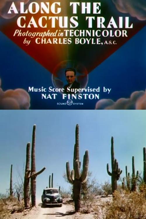 Along the Cactus Trail 1944 official movie poster