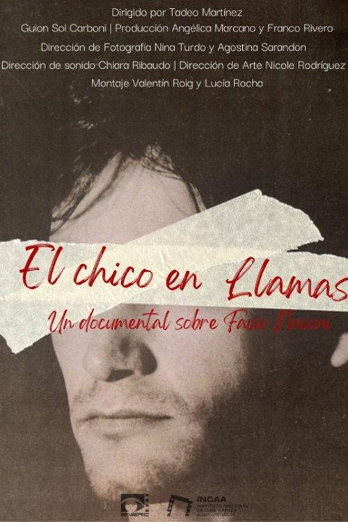 El chico en llamas 2024 official movie poster