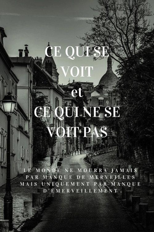 Ce qui se voit et ce qui ne se voit pas 2024 official movie poster
