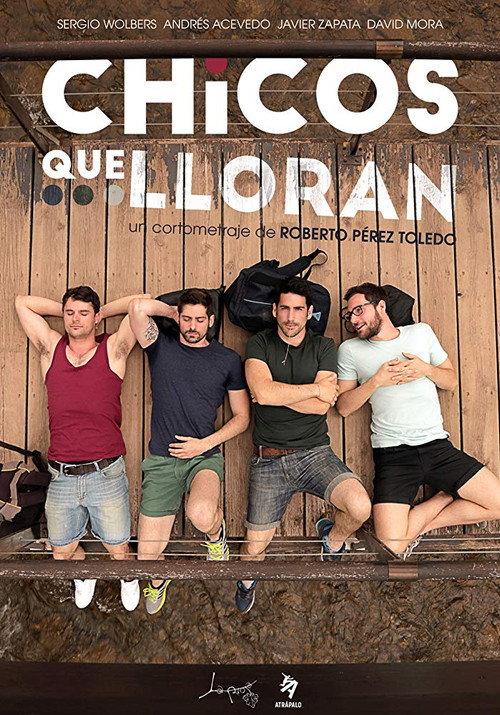 Chicos que lloran 2015 official movie poster