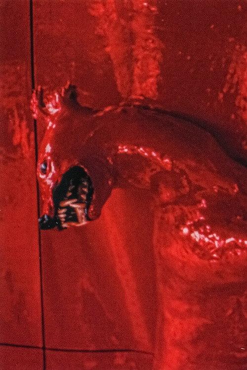 A Red Score in Tile 2003 official movie poster
